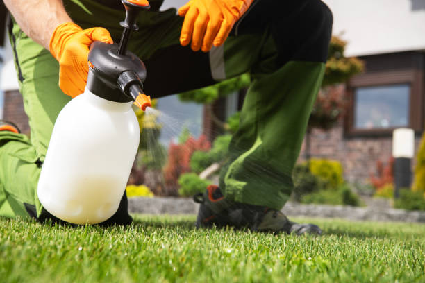 Best Ant Control Services  in Wenatchee, WA