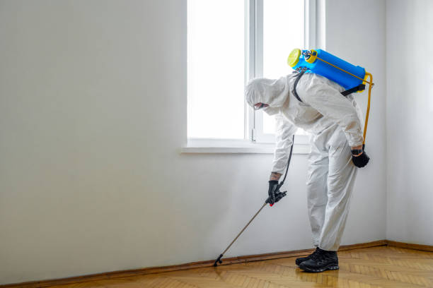 Best Ant Control Services  in Wenatchee, WA