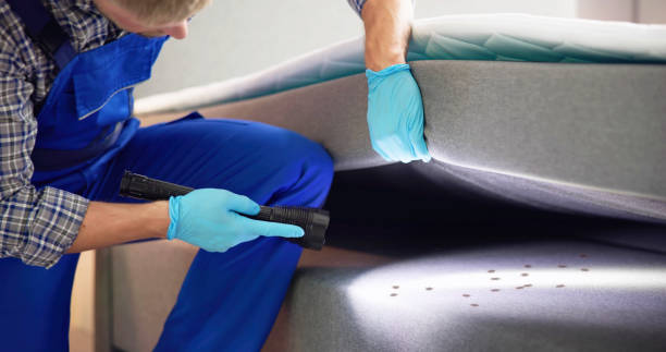 Best Local Pest Control Services  in Wenatchee, WA