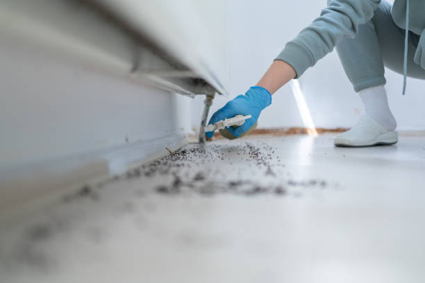Best Residential Pest Control  in Wenatchee, WA