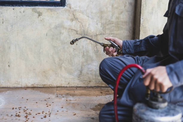Best Rat Extermination Near Me  in Wenatchee, WA